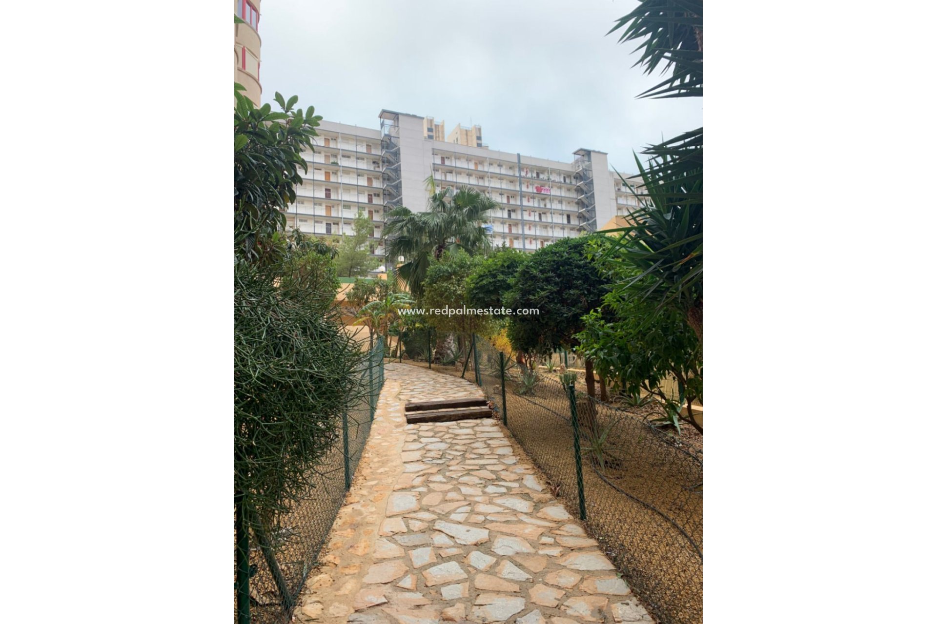 Reventa - Departamento -
Benidorm - Costa Blanca