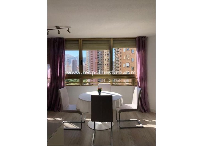 Reventa - Departamento -
Benidorm - Costa Blanca