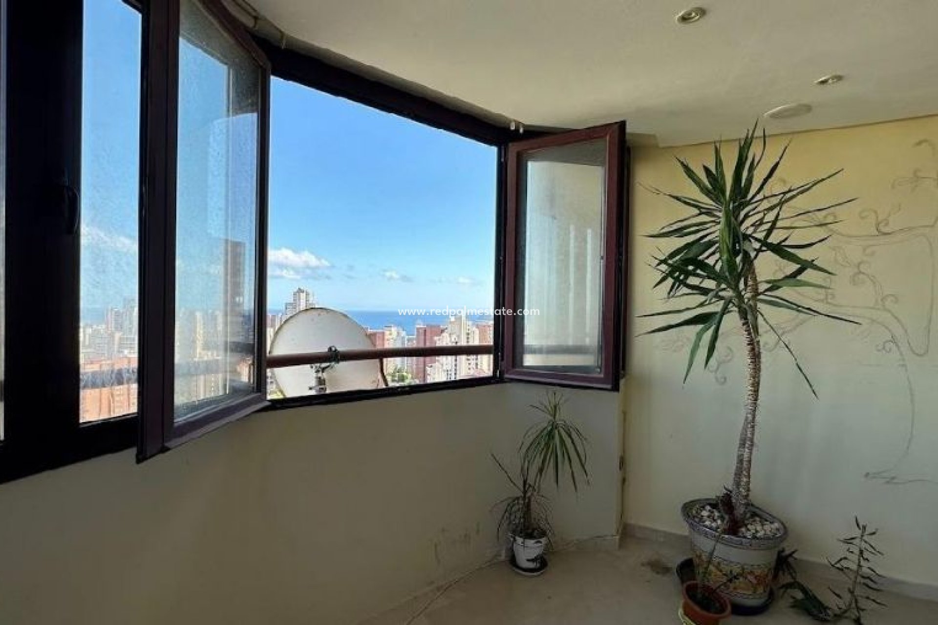 Reventa - Departamento -
Benidorm - Costa Blanca