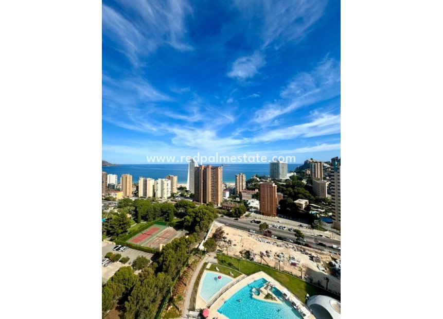 Reventa - Departamento -
Benidorm - Costa Blanca