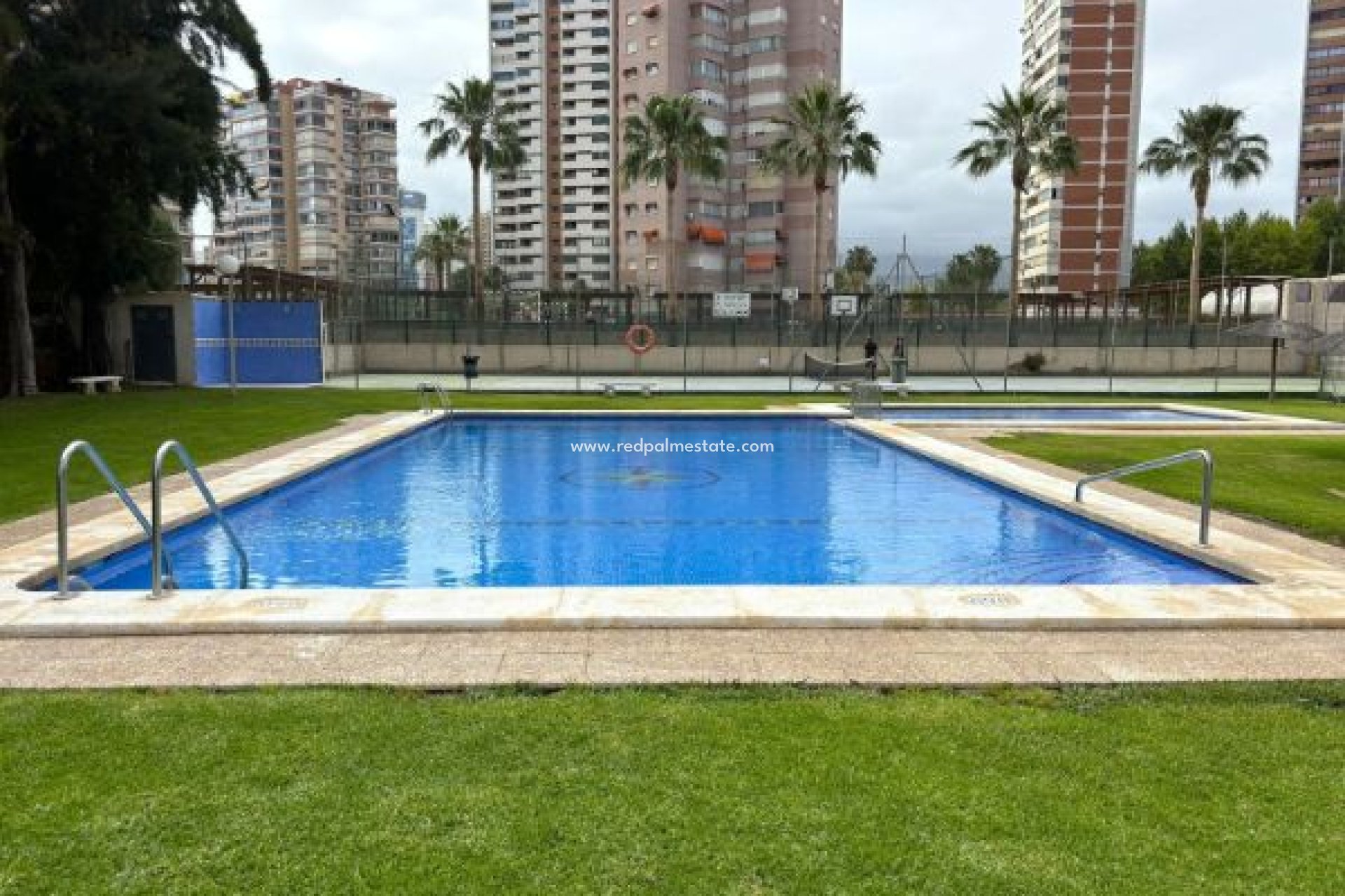 Reventa - Departamento -
Benidorm - Costa Blanca