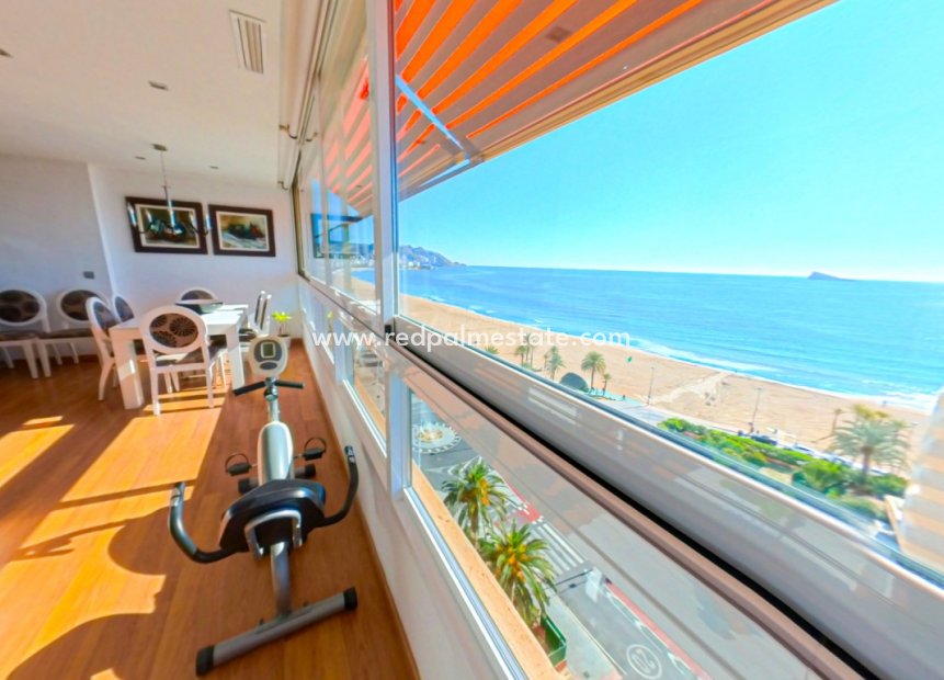 Reventa - Departamento -
Benidorm - Costa Blanca