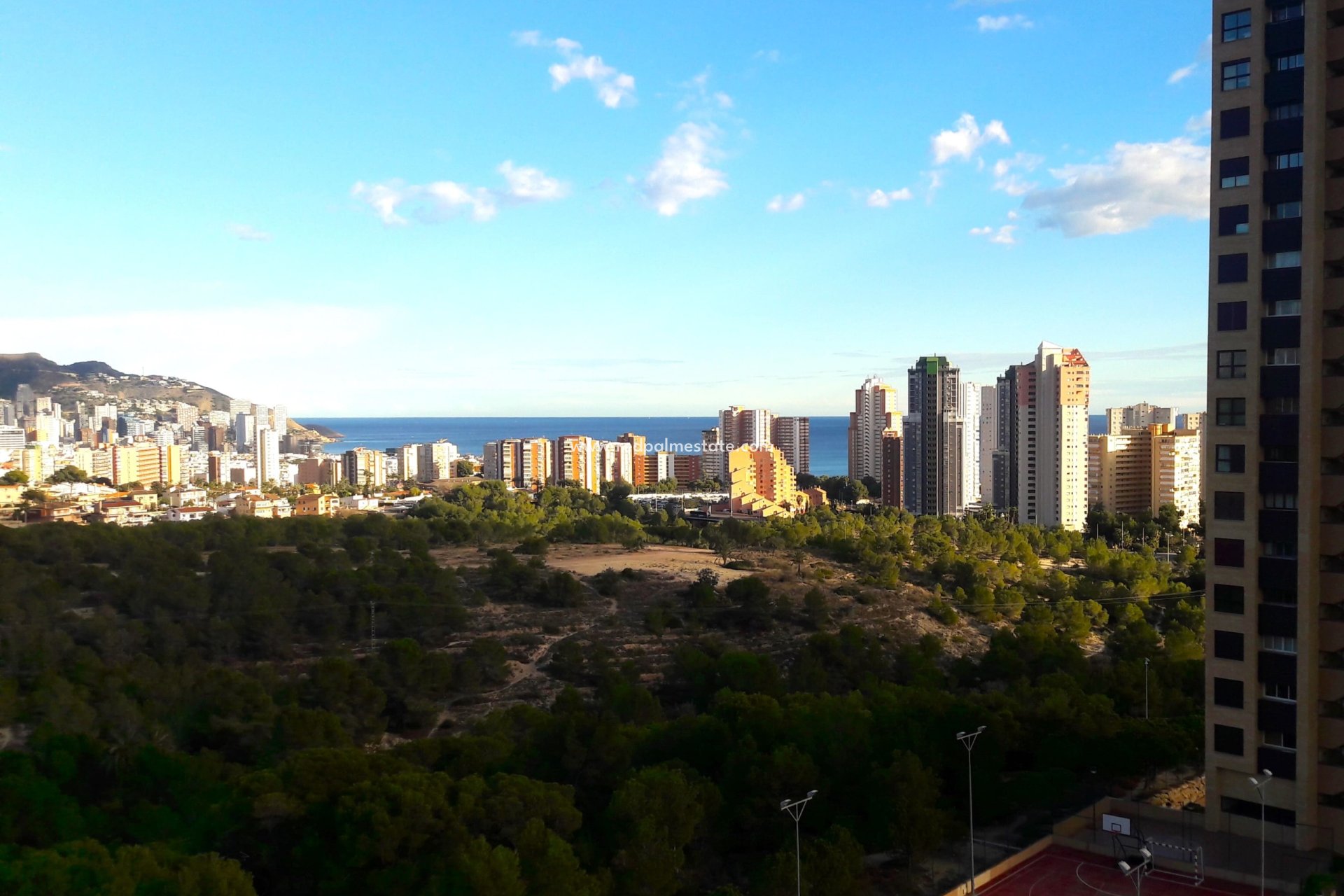 Reventa - Departamento -
Benidorm - Costa Blanca