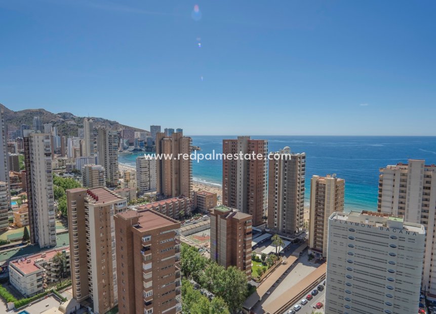 Reventa - Departamento -
Benidorm