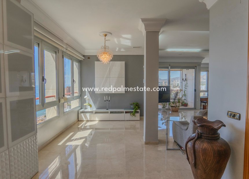 Reventa - Departamento -
Benidorm