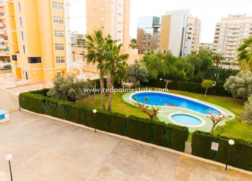 Reventa - Departamento -
Guardamar del Segura - CENTRO