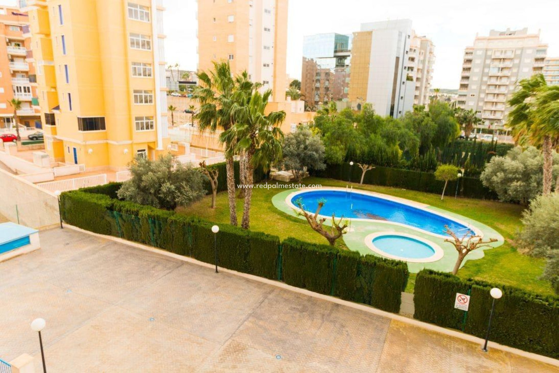 Reventa - Departamento -
Guardamar del Segura - CENTRO