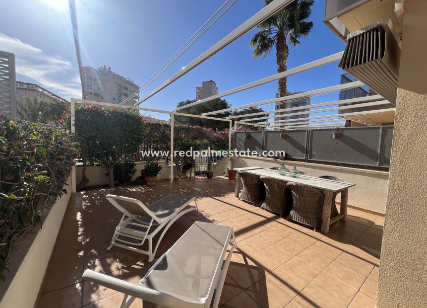 Reventa - Departamento -
Guardamar del Segura - MasyMas