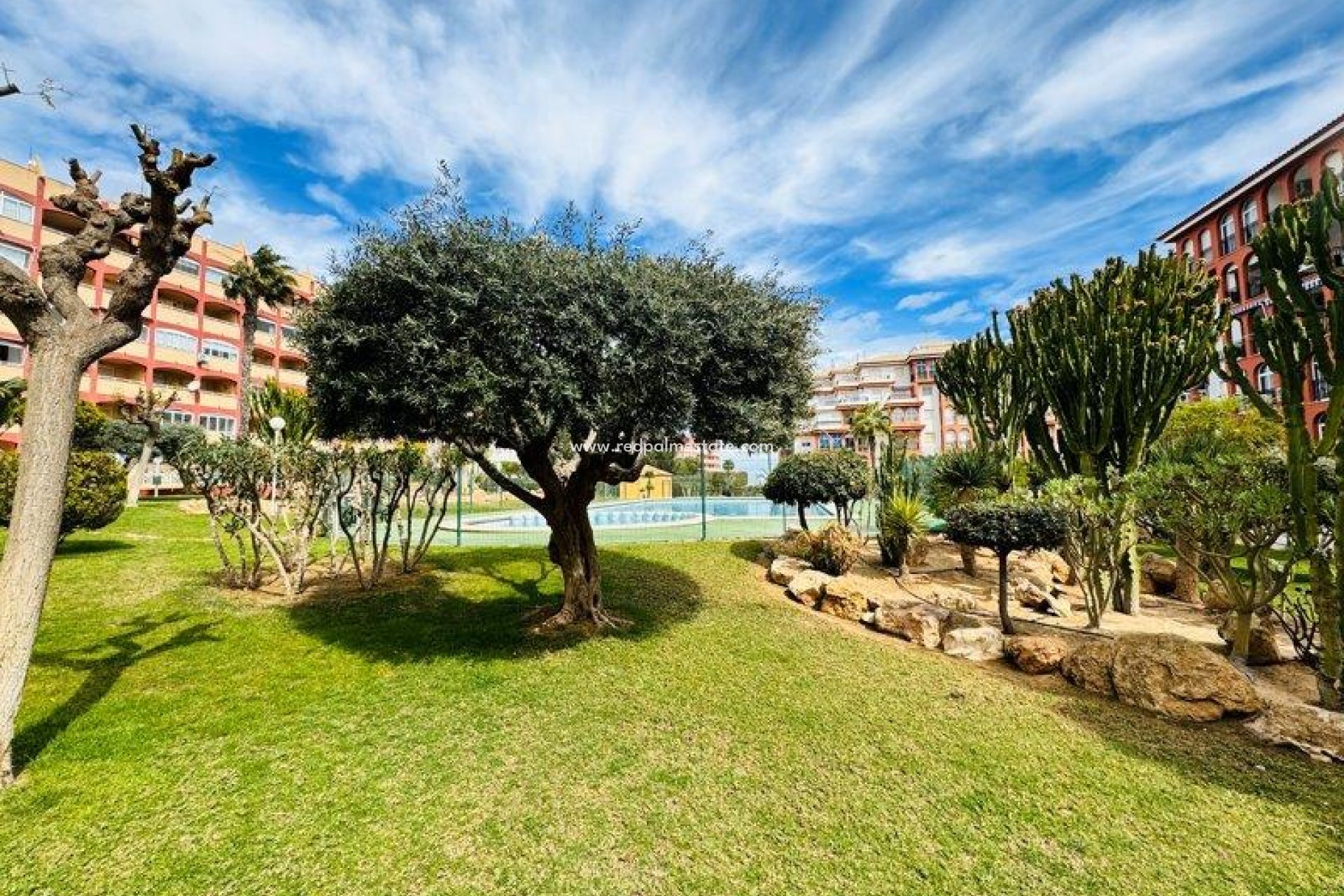 Reventa - Departamento -
La Mata - Costa Blanca