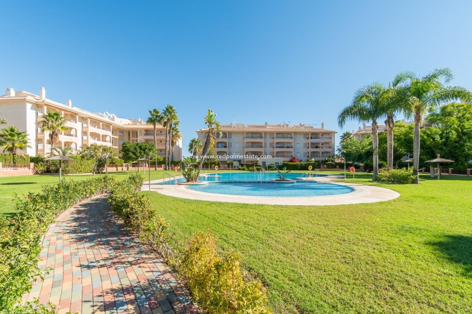 Reventa - Departamento -
Orihuela Costa - Playa Flamenca