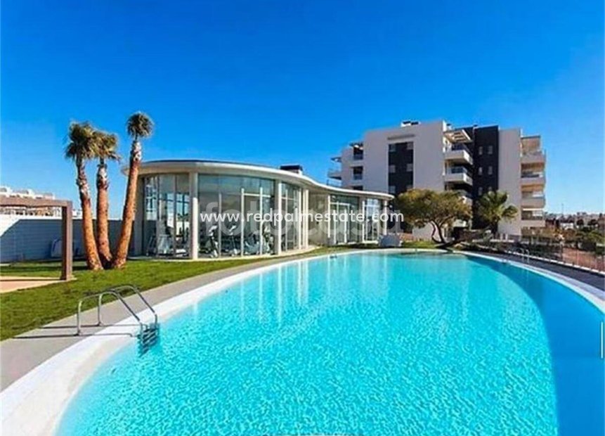 Reventa - Departamento -
Orihuela Costa - Playa Flamenca