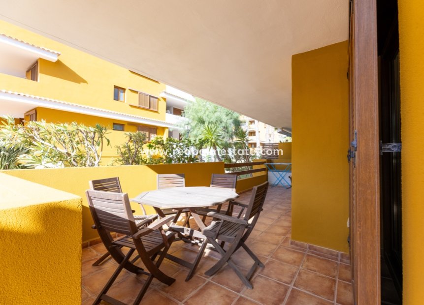 Reventa - Departamento -
Orihuela Costa - Punta Prima