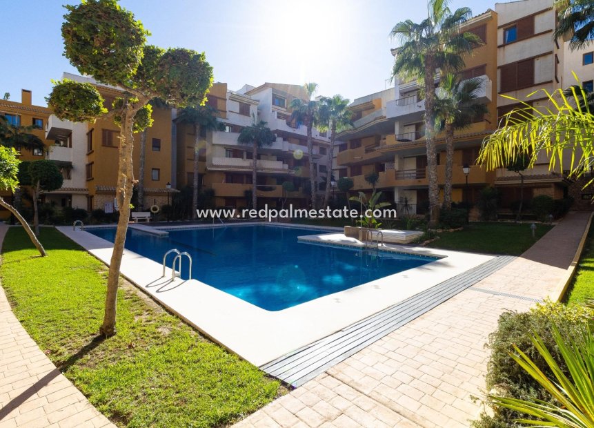 Reventa - Departamento -
Orihuela Costa - Punta Prima