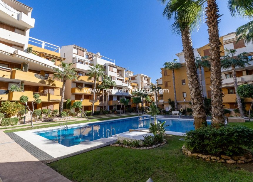 Reventa - Departamento -
Orihuela Costa - Punta Prima