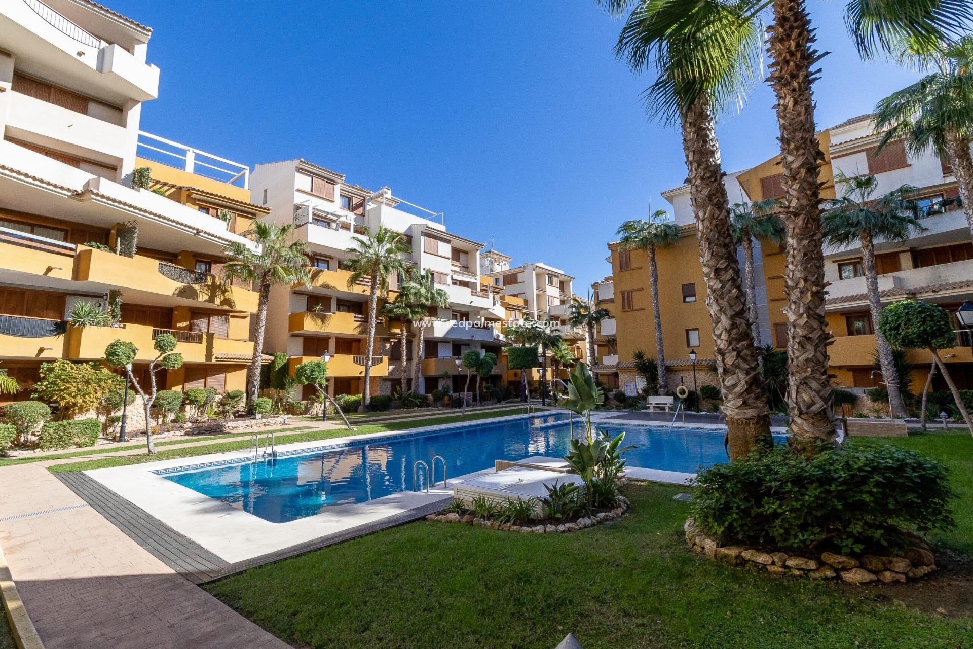 Reventa - Departamento -
Orihuela Costa - Punta Prima