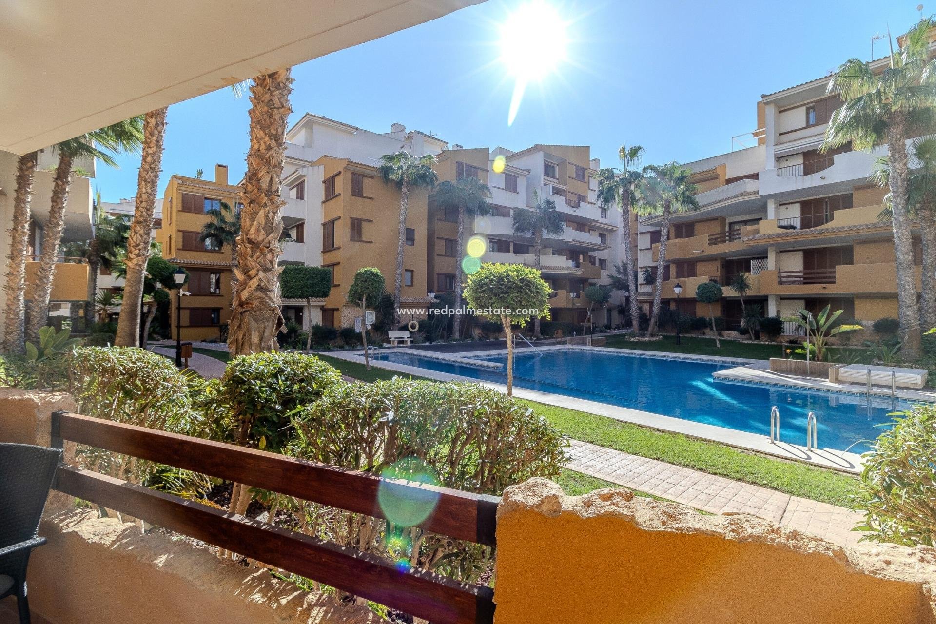 Reventa - Departamento -
Orihuela Costa - Punta Prima