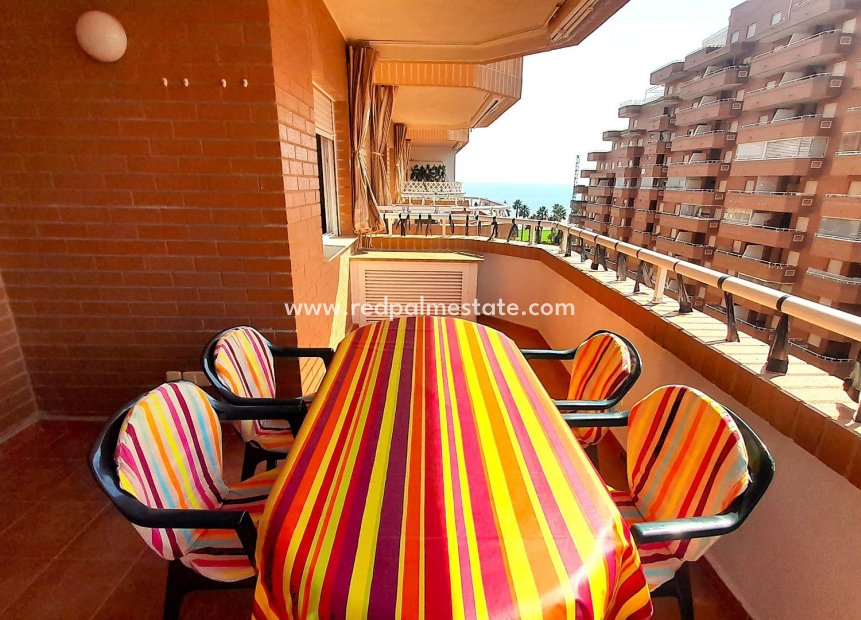 Reventa - Departamento -
Oropesa Del Mar - Oropesa del Mar