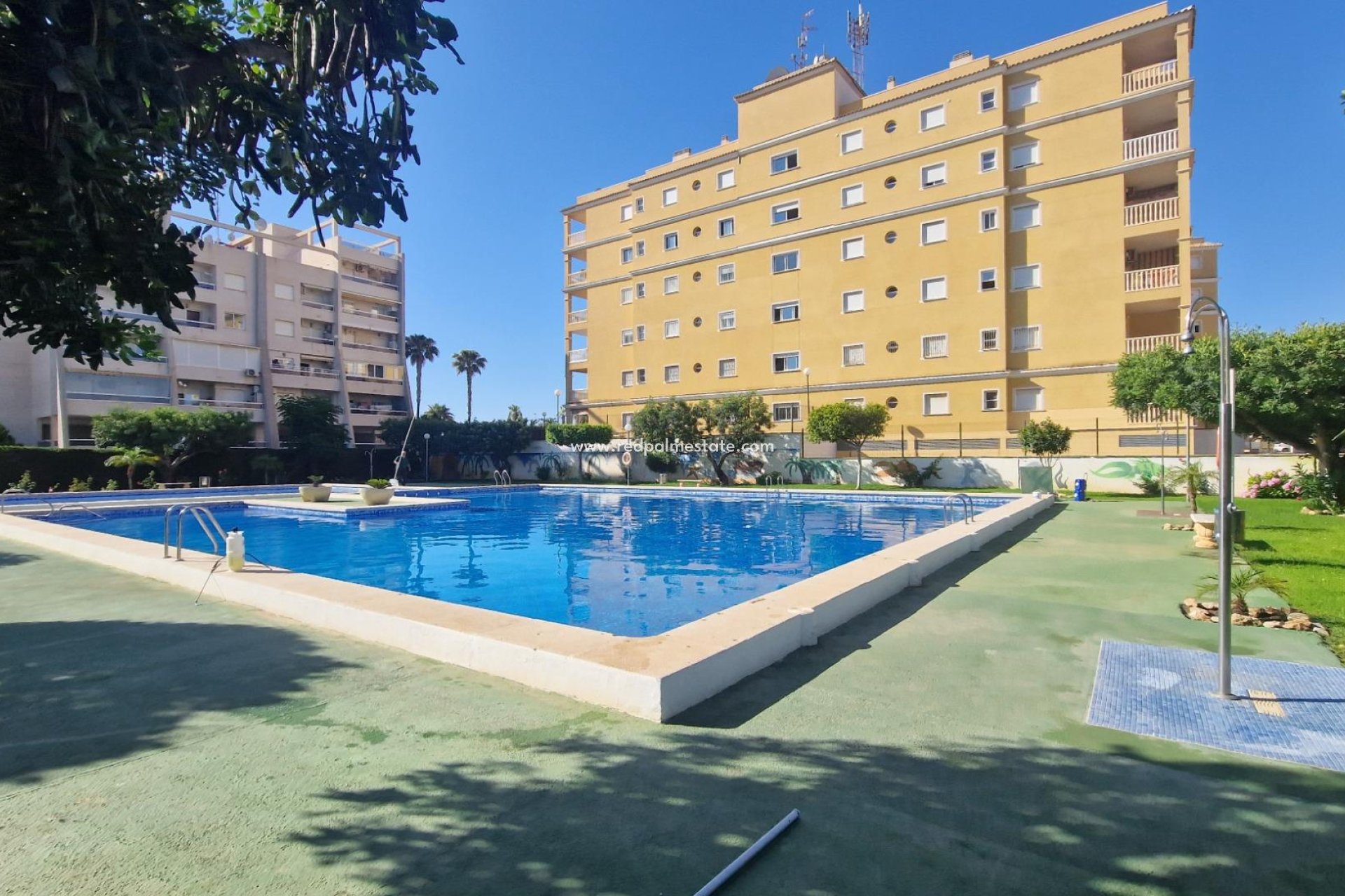 Reventa - Departamento -
Torrevieja - Aguas Nuevas