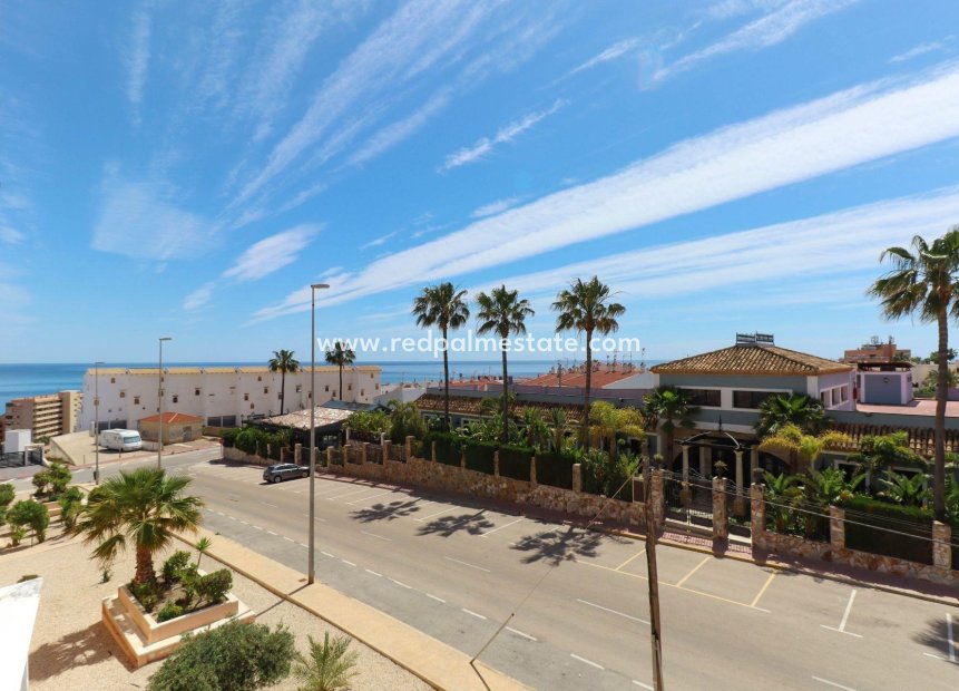 Reventa - Departamento -
Torrevieja - Cabo cervera