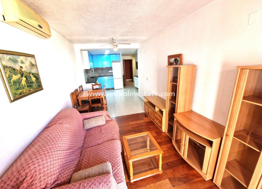 Reventa - Departamento -
Torrevieja - Center