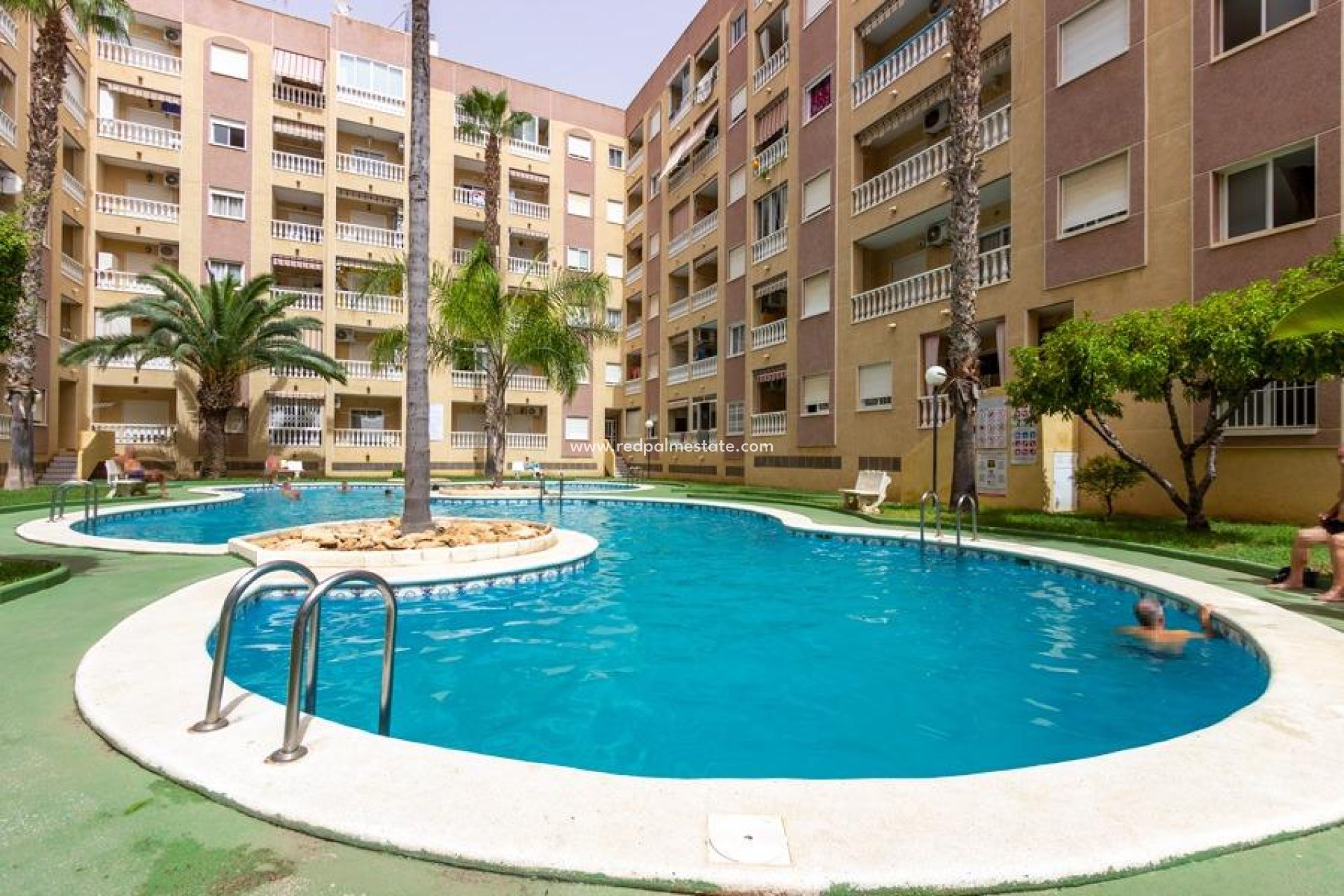 Reventa - Departamento -
Torrevieja - Center