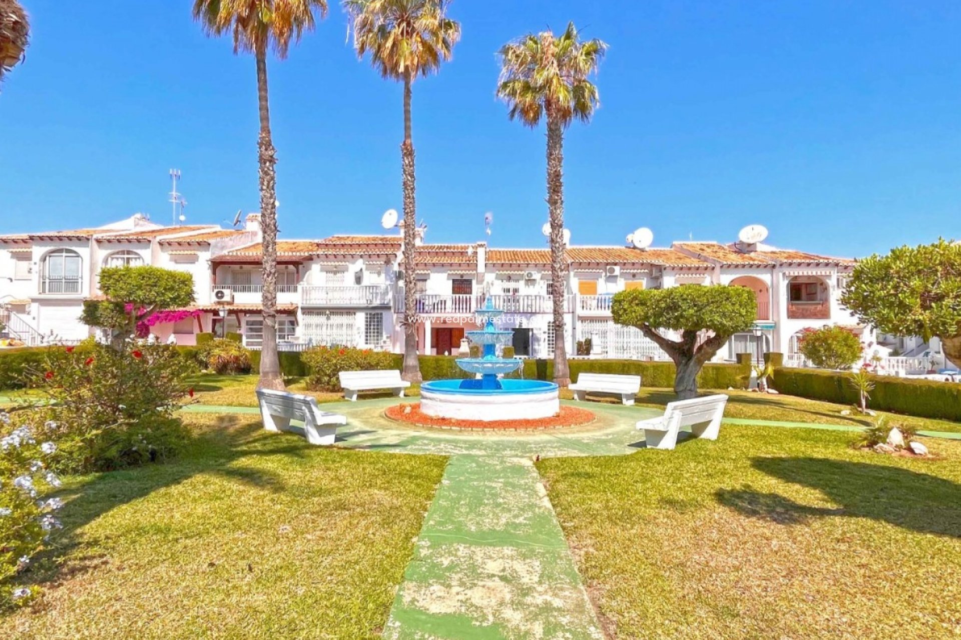 Reventa - Departamento -
Torrevieja - Costa Blanca