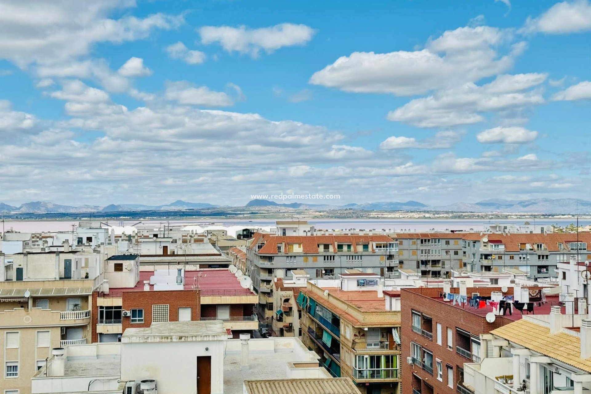 Reventa - Departamento -
Torrevieja - Costa Blanca