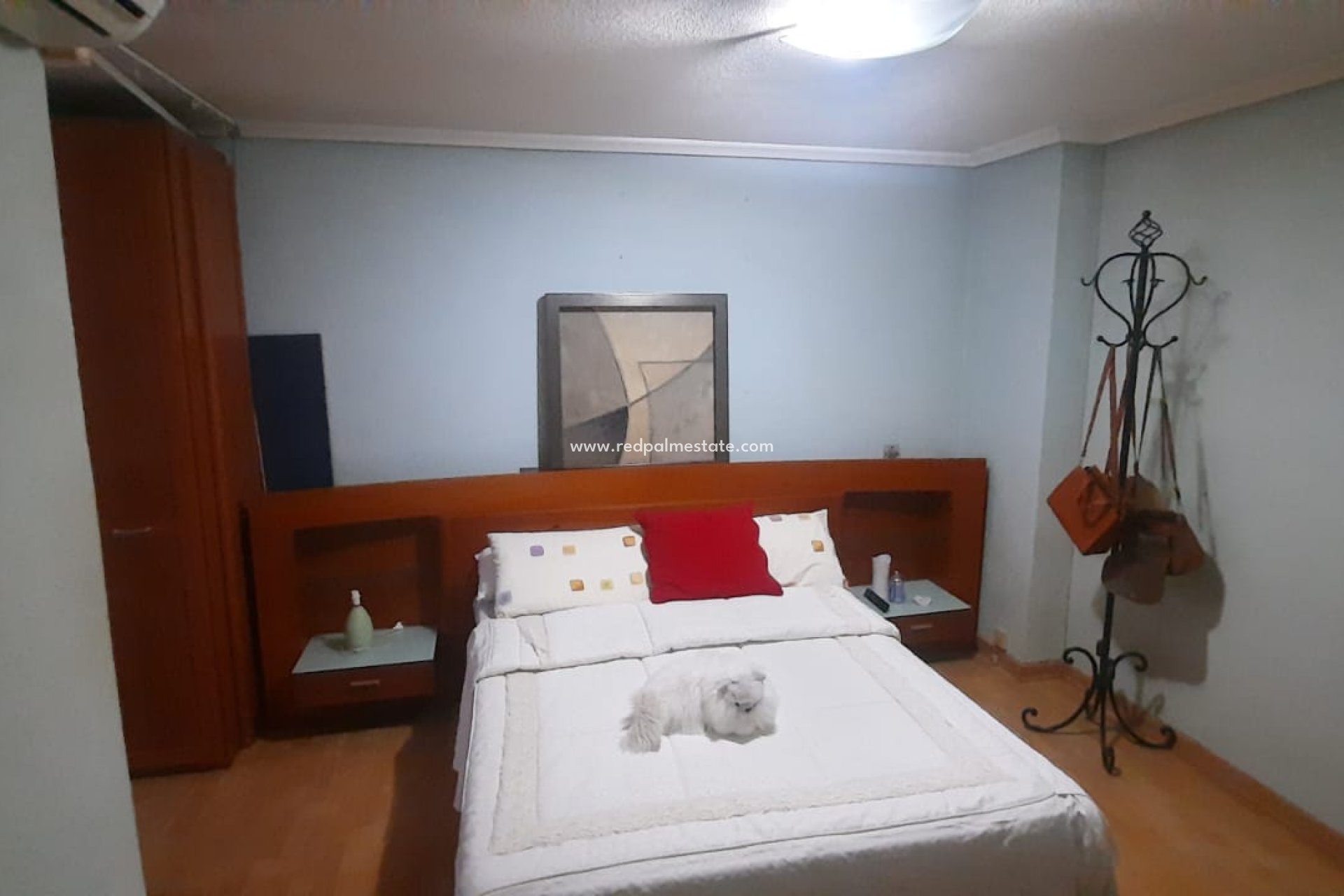 Reventa - Departamento -
Torrevieja - Costa Blanca