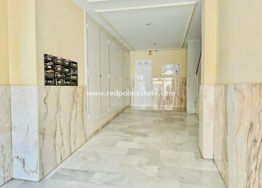 Reventa - Departamento -
Torrevieja - Costa Blanca