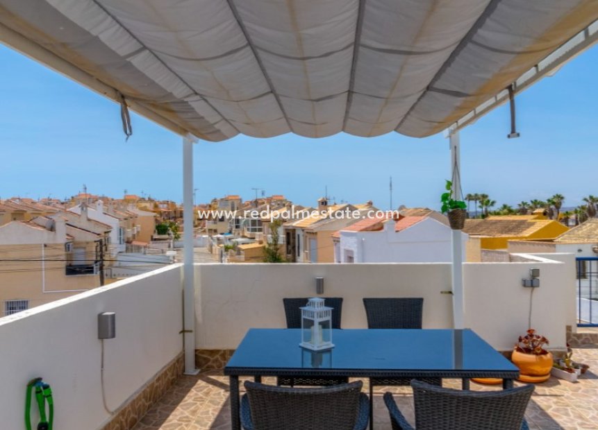 Reventa - Departamento -
Torrevieja - Costa Blanca