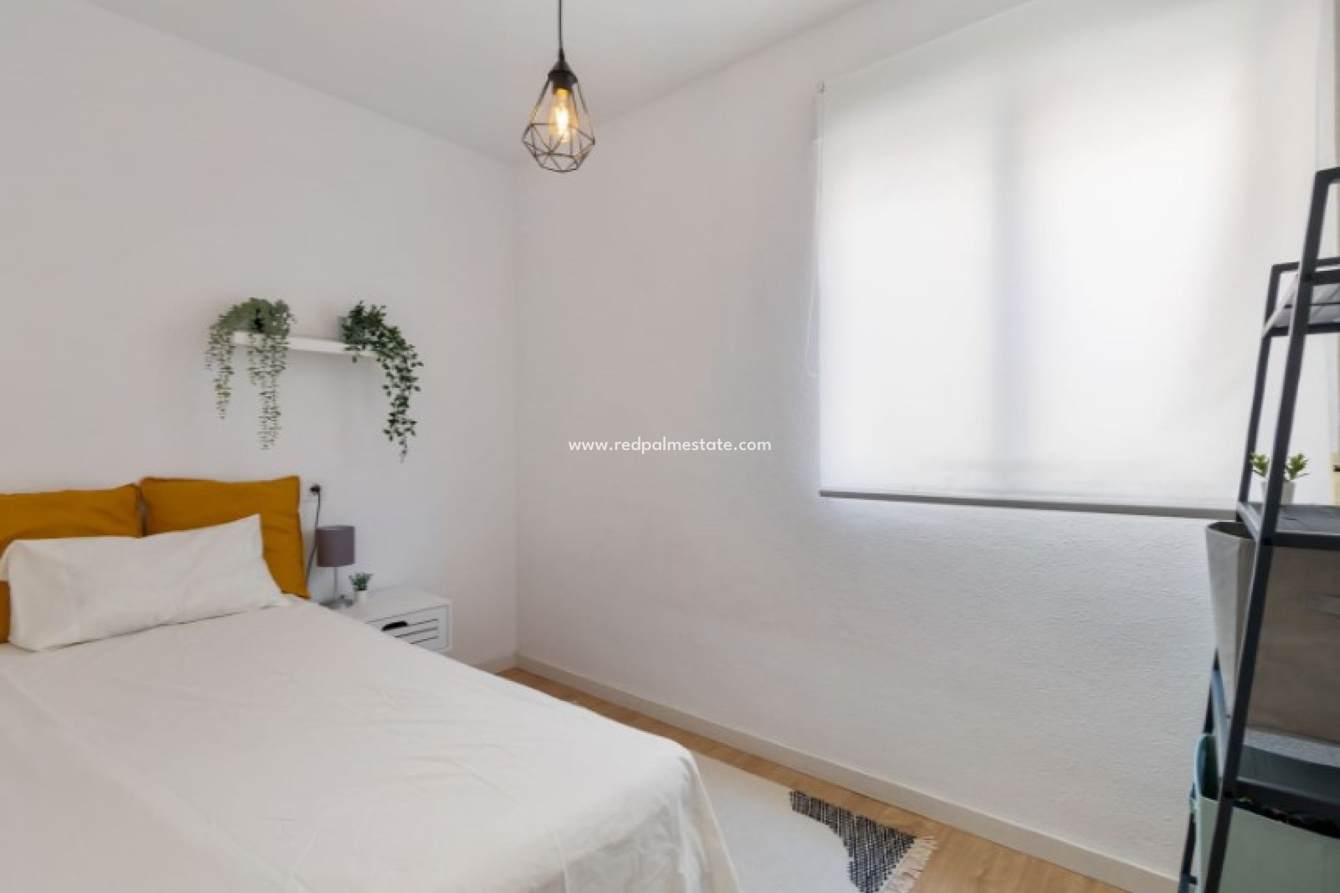 Reventa - Departamento -
Torrevieja - Costa Blanca