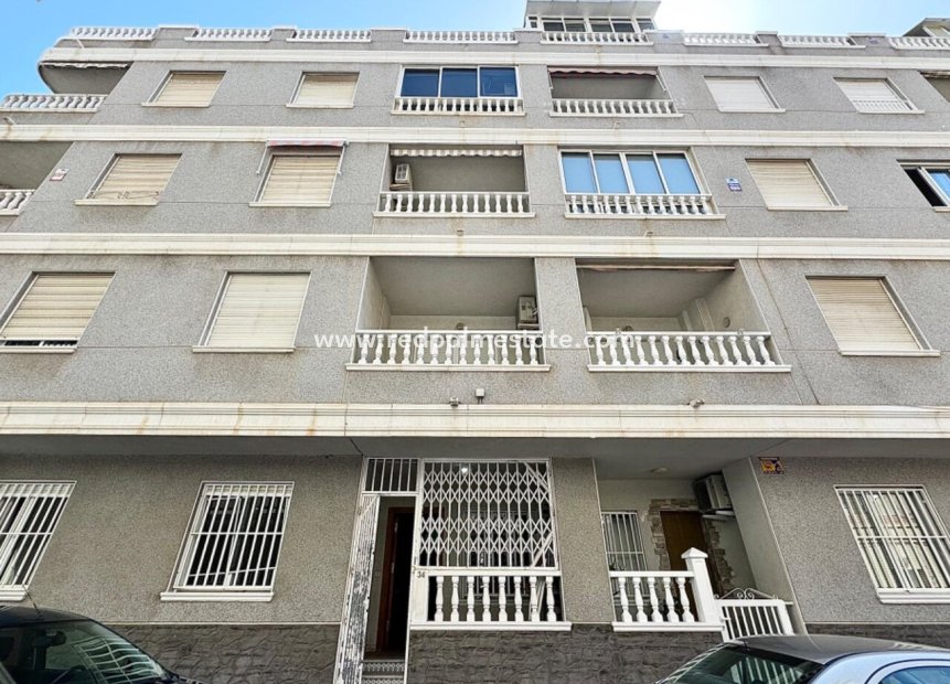 Reventa - Departamento -
Torrevieja - Costa Blanca