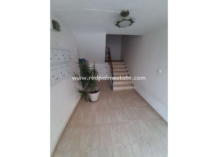 Reventa - Departamento -
Torrevieja - Costa Blanca