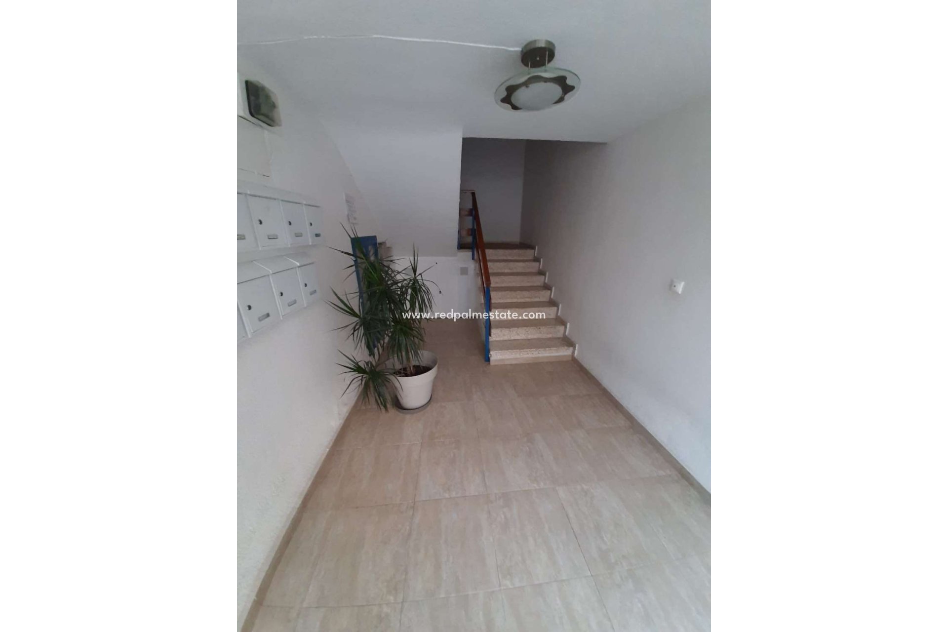 Reventa - Departamento -
Torrevieja - Costa Blanca