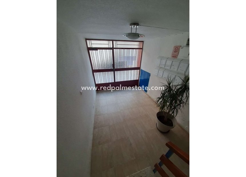 Reventa - Departamento -
Torrevieja - Costa Blanca