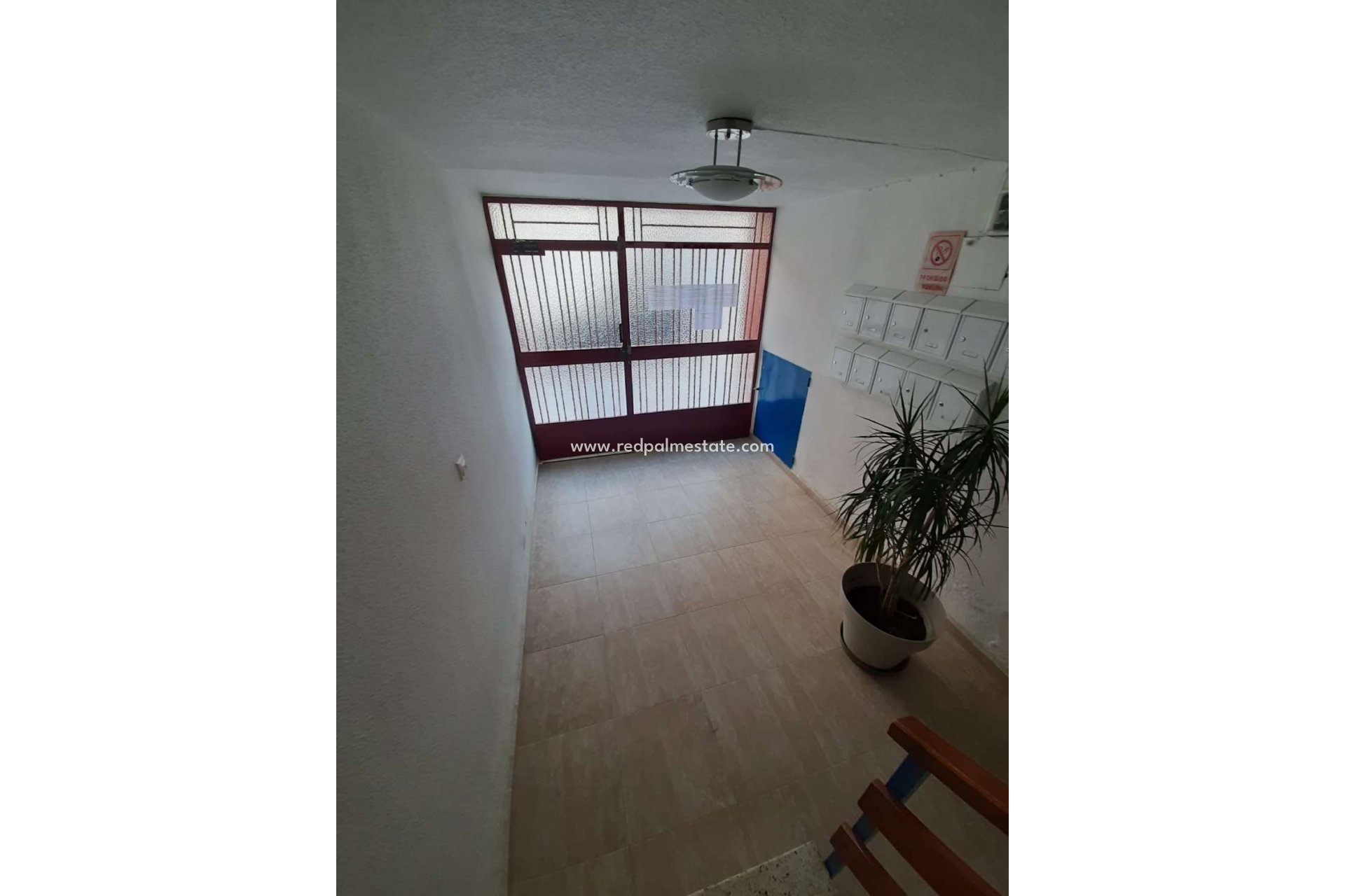 Reventa - Departamento -
Torrevieja - Costa Blanca