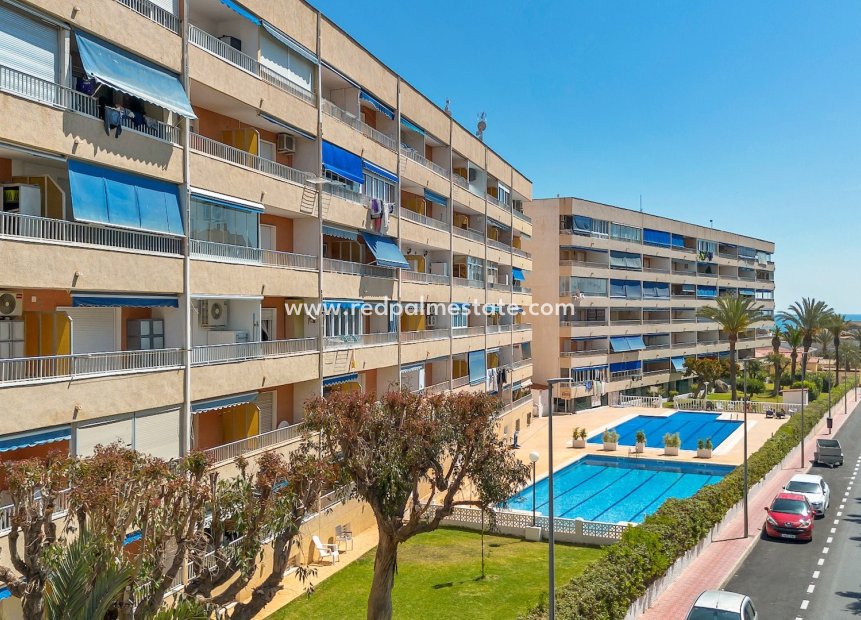 Reventa - Departamento -
Torrevieja - Costa Blanca