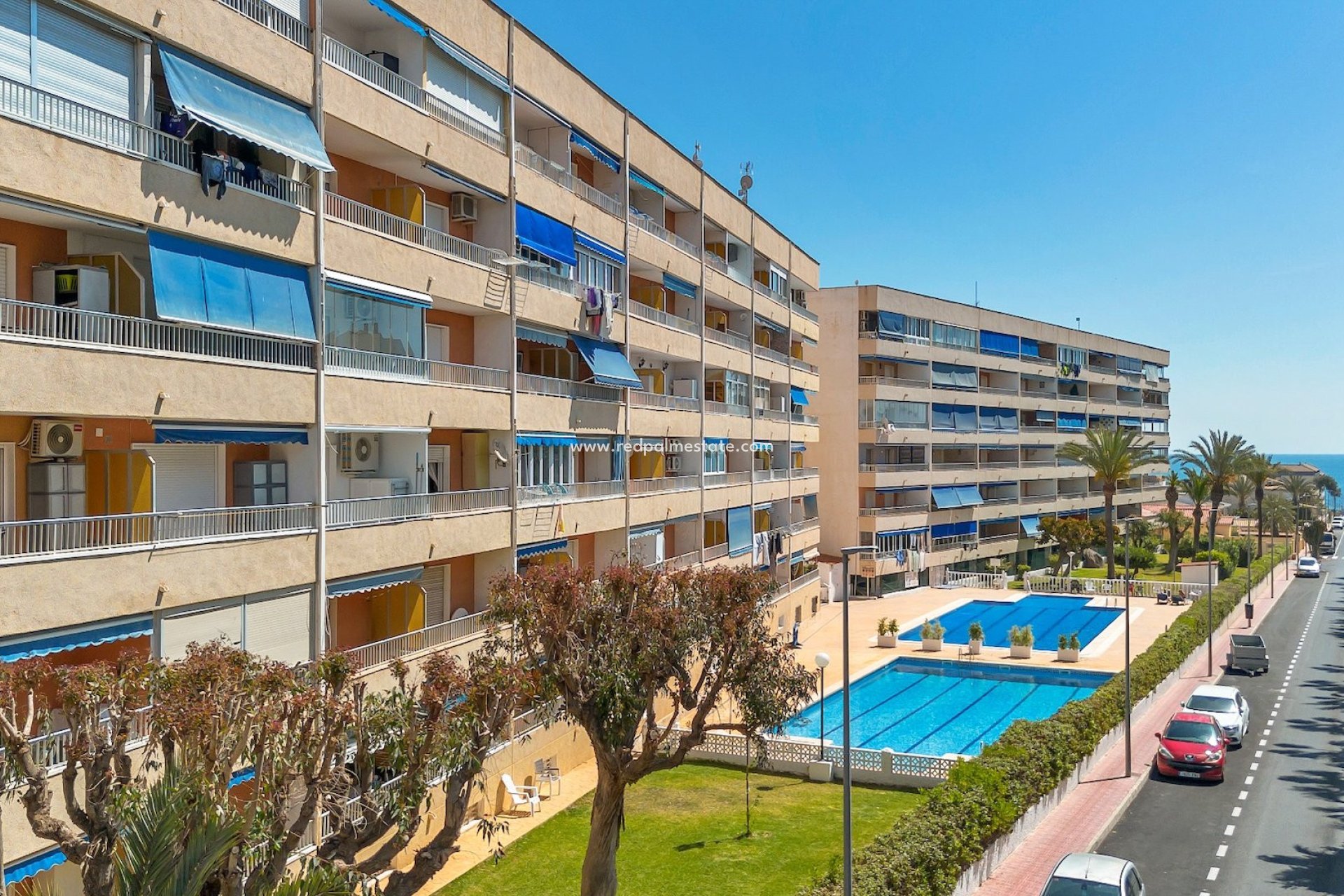 Reventa - Departamento -
Torrevieja - Costa Blanca