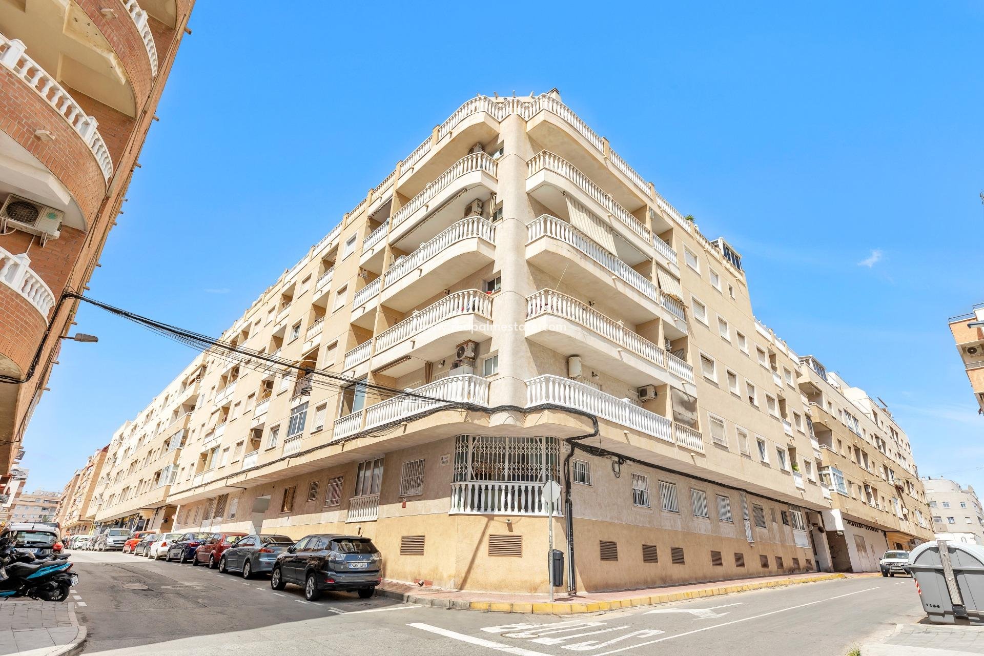 Reventa - Departamento -
Torrevieja - El molino