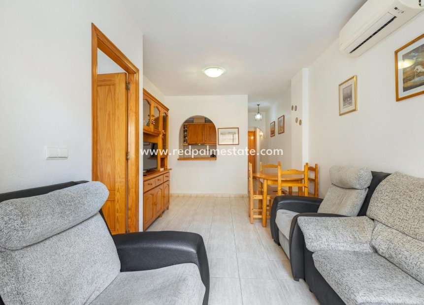 Reventa - Departamento -
Torrevieja - El molino