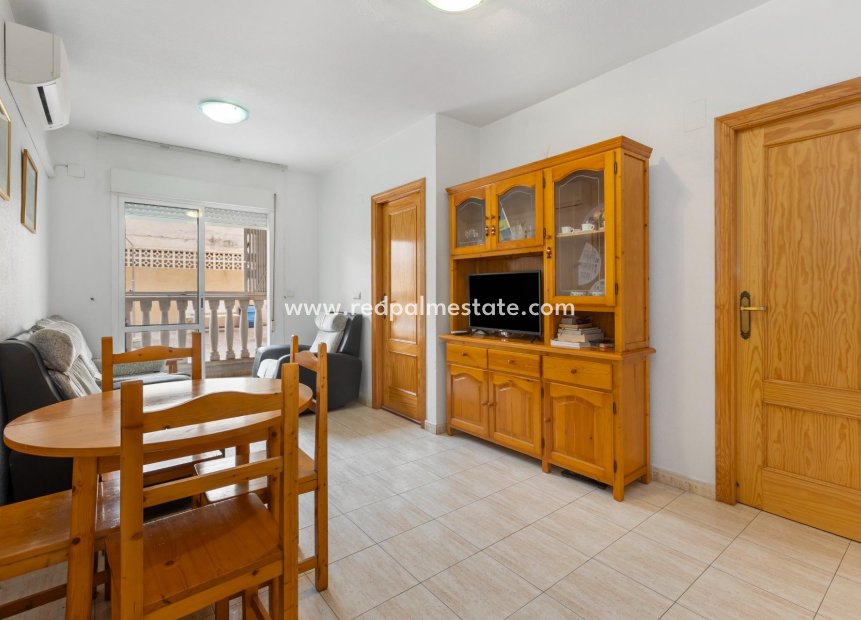 Reventa - Departamento -
Torrevieja - El molino