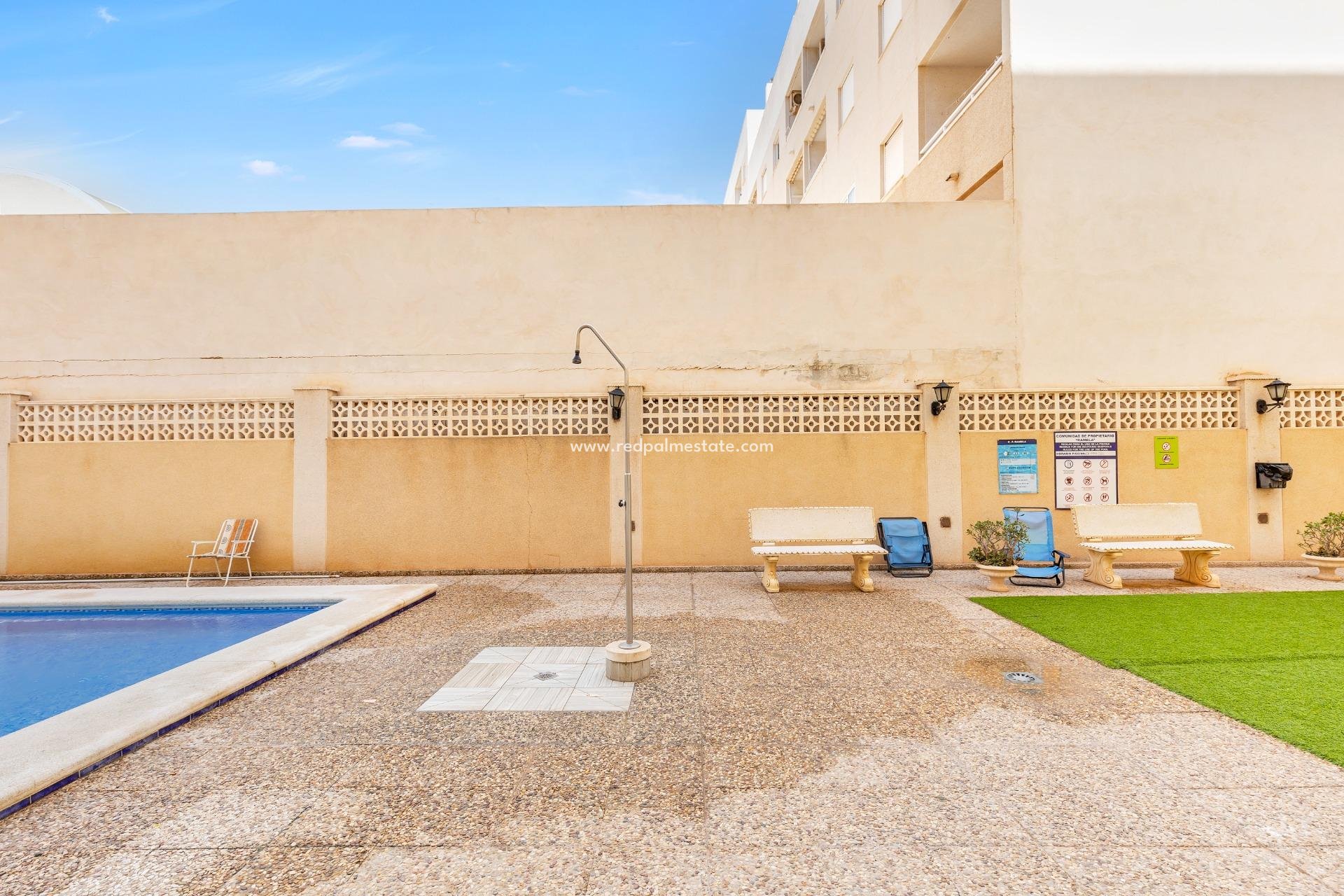 Reventa - Departamento -
Torrevieja - El molino