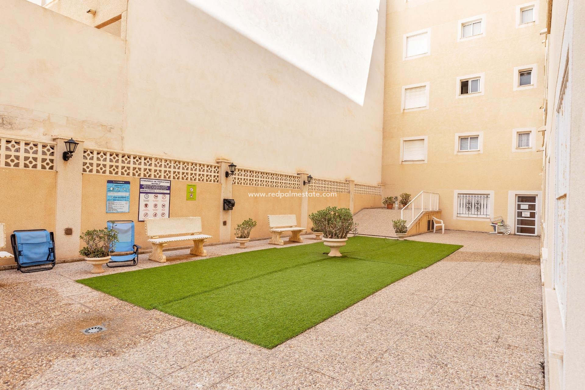 Reventa - Departamento -
Torrevieja - El molino