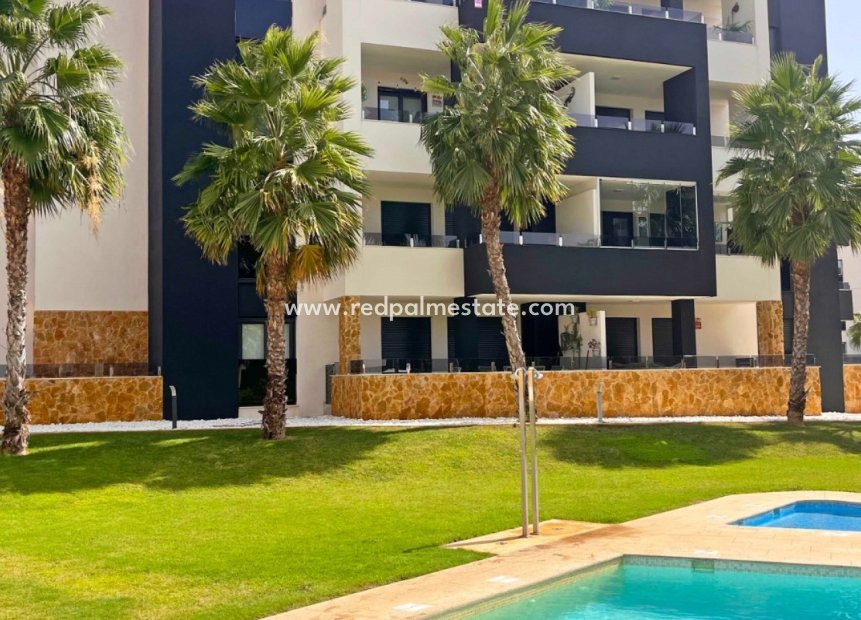 Reventa - Departamento -
Torrevieja - Los Altos