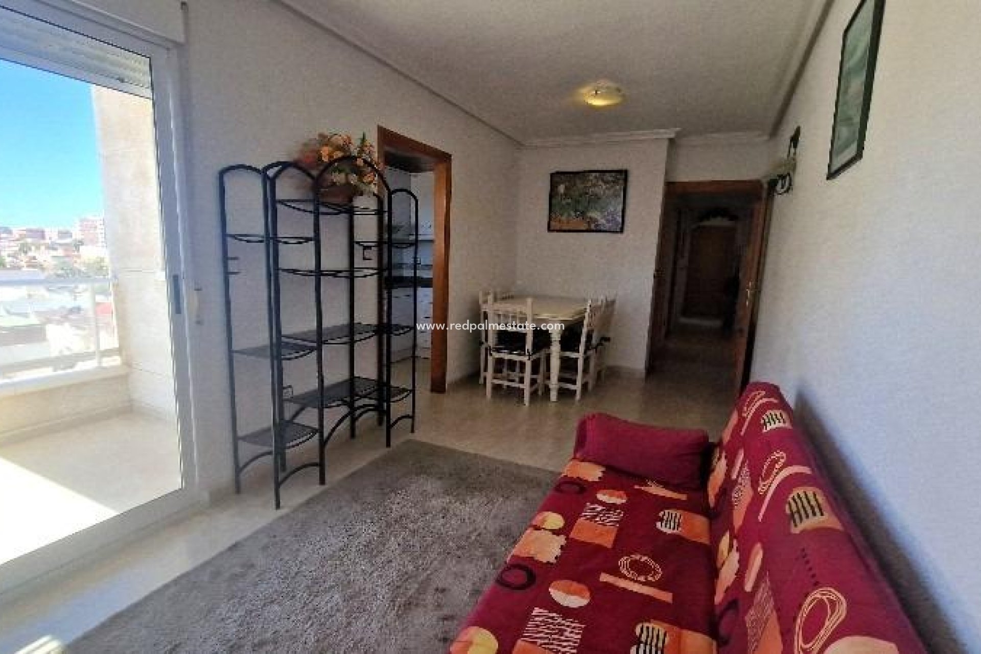 Reventa - Departamento -
Torrevieja - Nueva Torrevieja