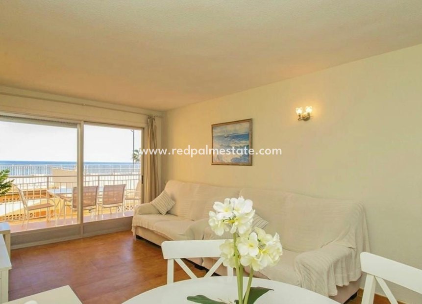 Reventa - Departamento -
Torrevieja - Playa de los locos