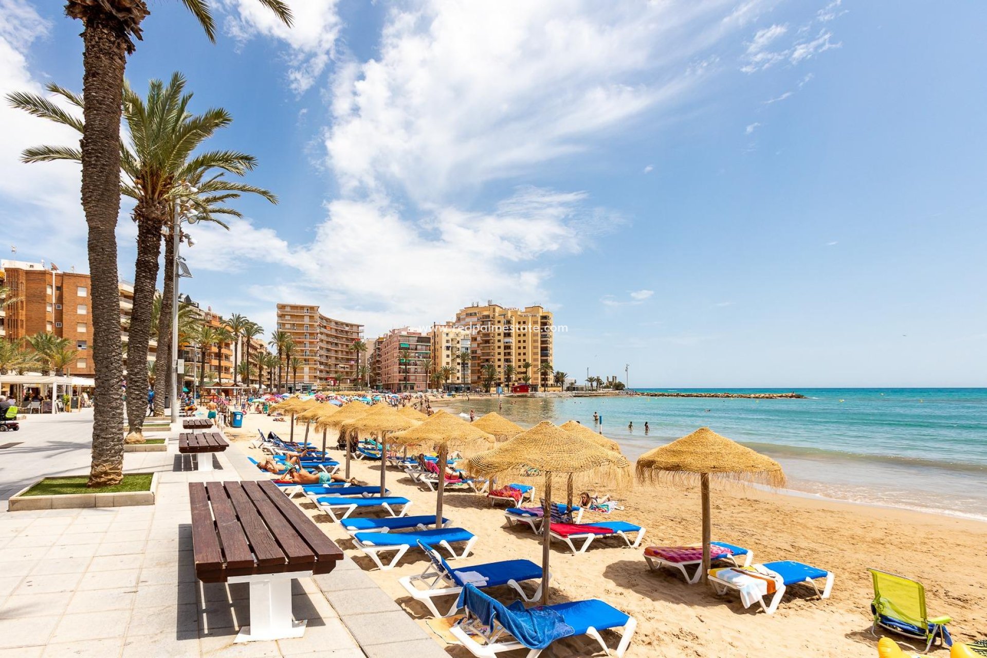 Reventa - Departamento -
Torrevieja - Playa del Cura