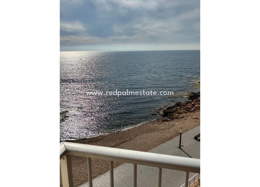 Reventa - Departamento -
Torrevieja - Playa del Cura