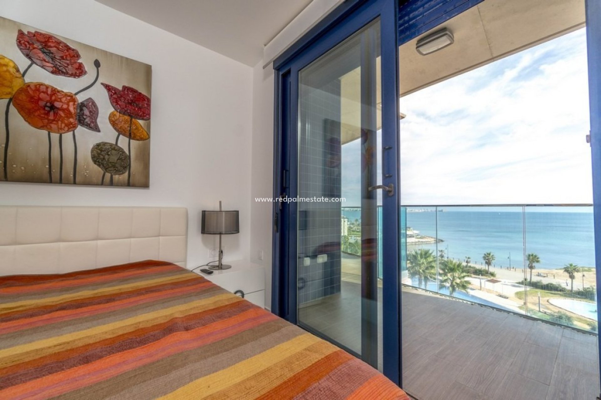 Reventa - Departamento -
Torrevieja - Punta Prima