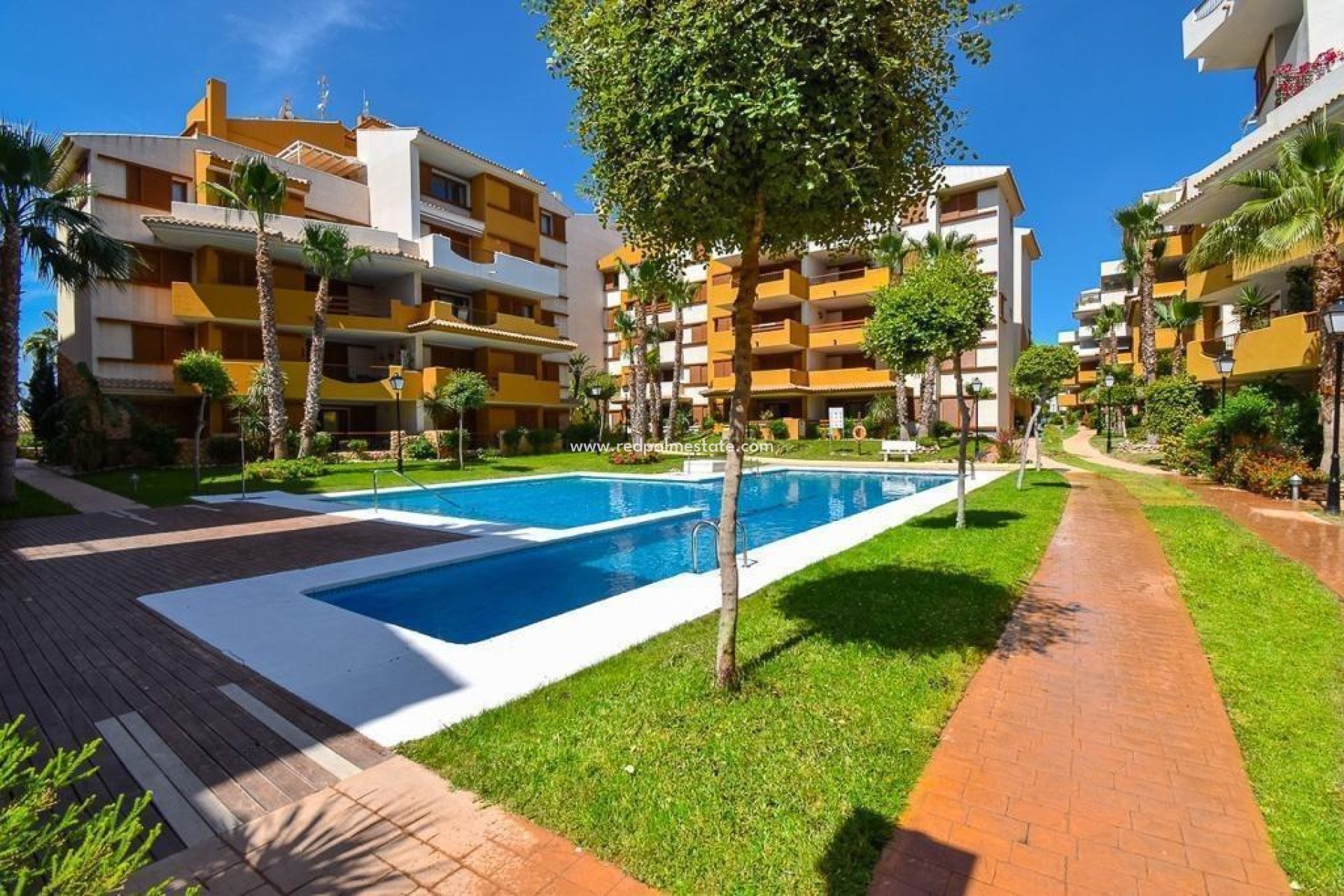 Reventa - Departamento -
Torrevieja - Punta Prima